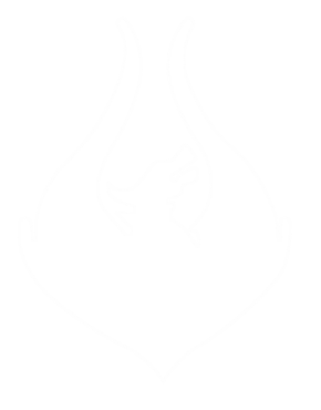 Team Phoenix | Ekip Kayıt Sistemi